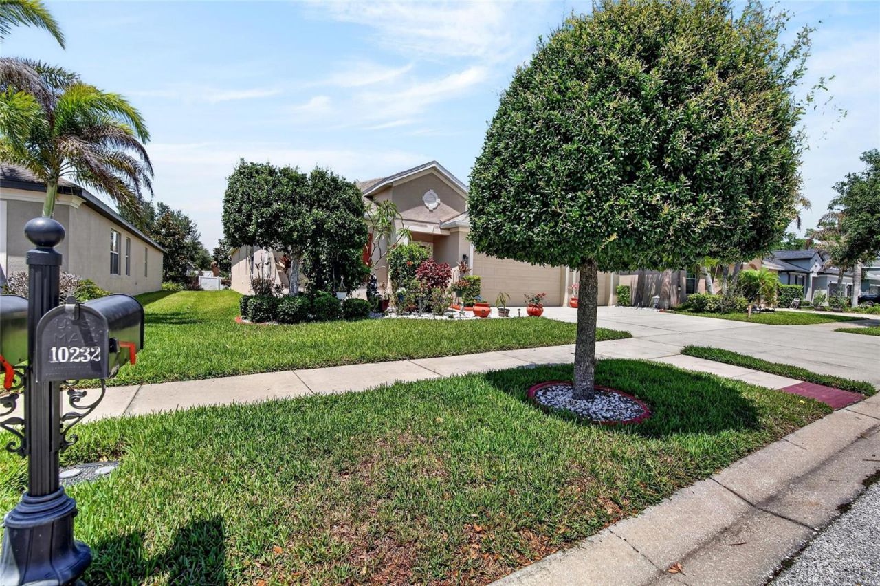 10232 Holland Road, Riverview, FL 33578 Photo
