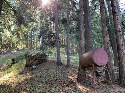 5372 Highway 147, Lake Almanor, CA 00000 Photo
