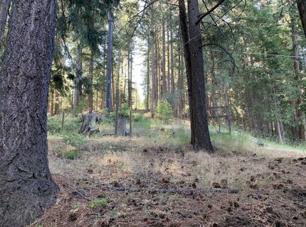 5372 Highway 147, Lake Almanor, CA 00000 Photo
