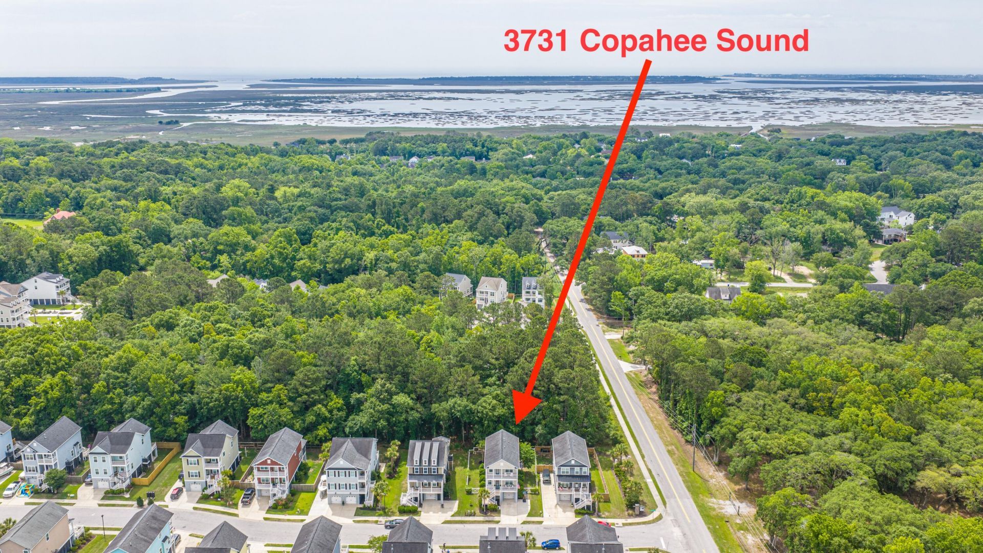3731 Copahee Sound Drive Photo 49