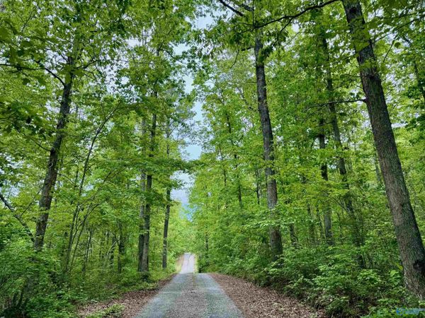Lot 40 Road 9050, Mentone, AL 35984
