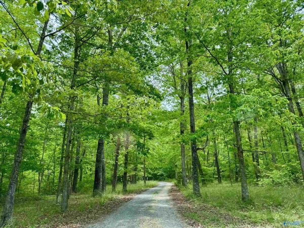 Lot 40 Road 9050, Mentone, AL 35984