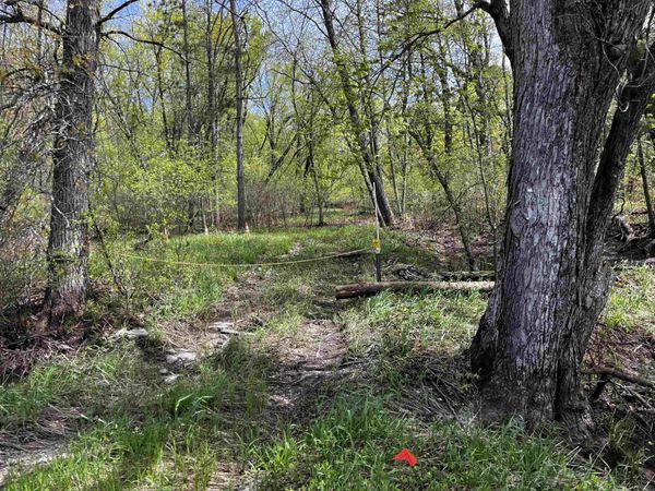30 acres 6th Avenue, New Lisbon, WI 53950