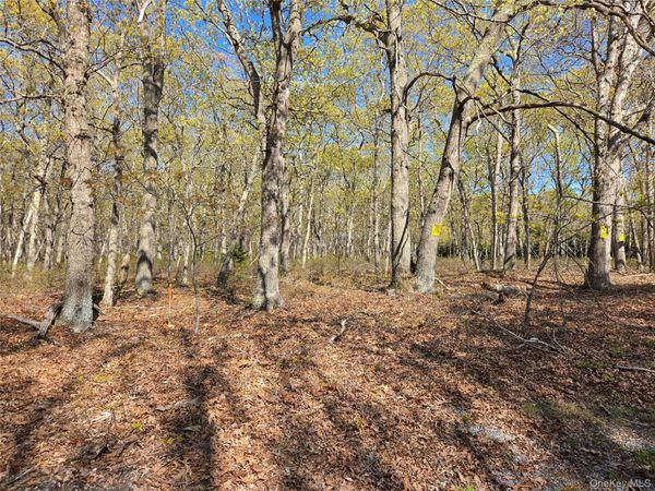 1796 Majors Path , Southampton, NY 11968