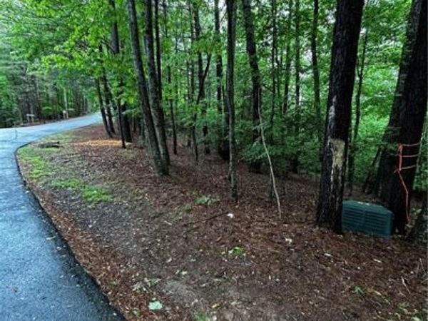 00 Lazy River Lane , Ellijay, GA 30540