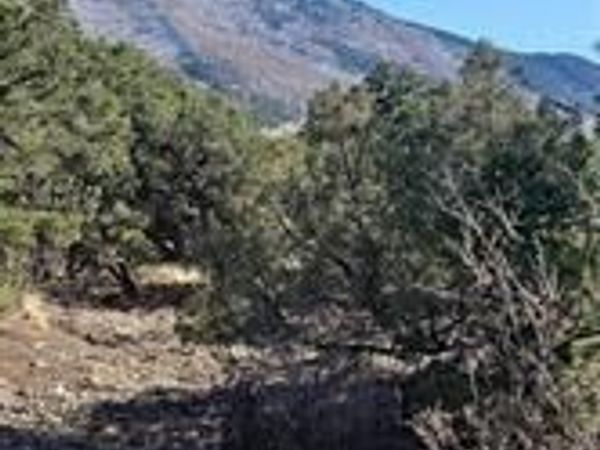 148 Lake Of The Falls Parkway , Mosca, CO 81146