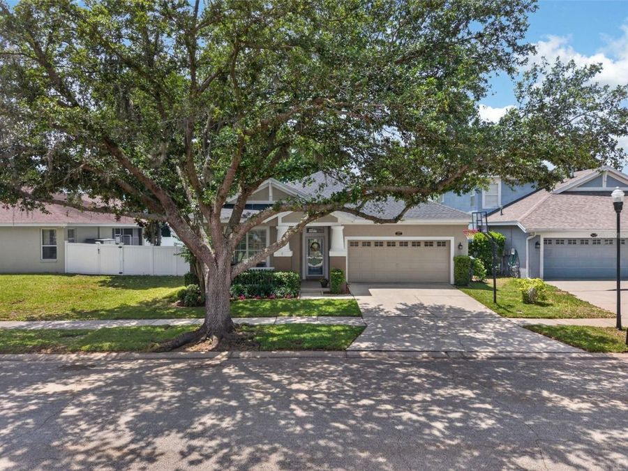 Property Image 82