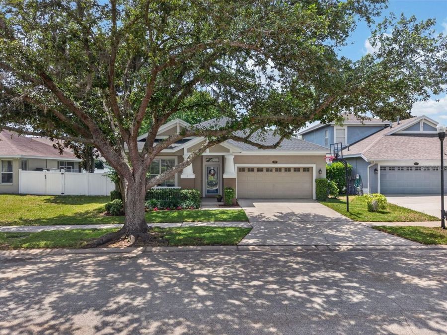 Property Image 83