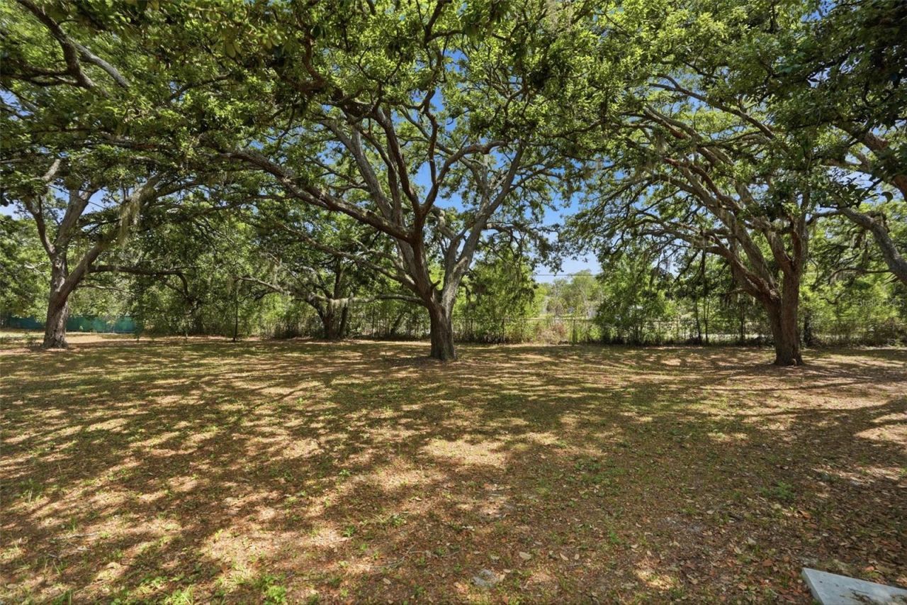 15620 Hays Road , Spring Hill, FL 34610 Photo