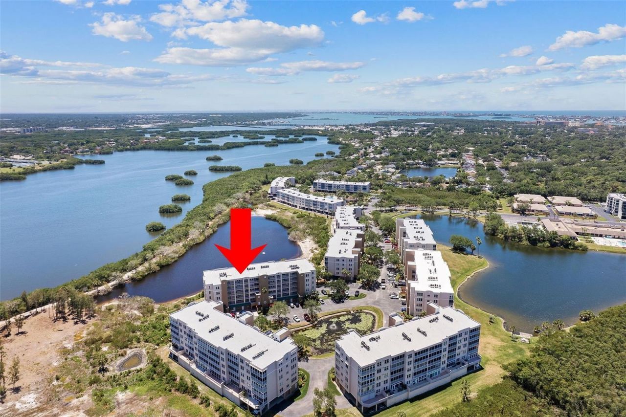 6551 Shoreline Drive , Unit 6402, Saint Petersburg, FL 33708 Photo