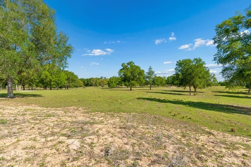 31501 Reed Road , Dade City, FL 33523 Photo