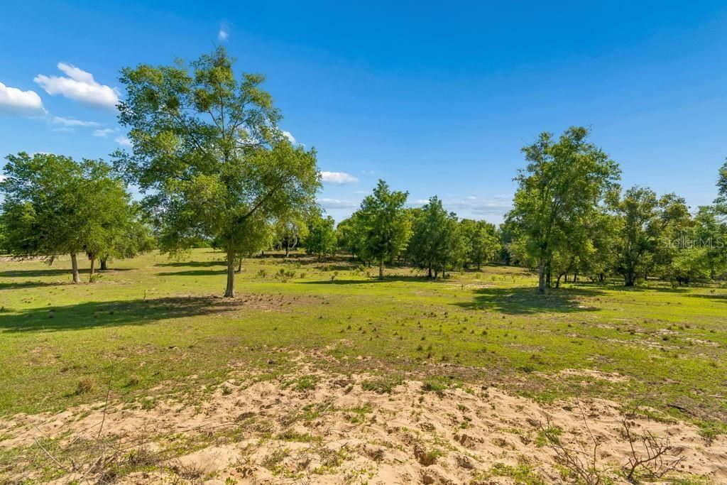 31501 Reed Road , Dade City, FL 33523 Photo