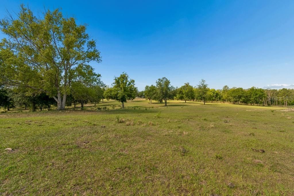 31501 Reed Road , Dade City, FL 33523 Photo