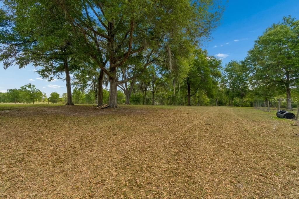 31501 Reed Road , Dade City, FL 33523 Photo