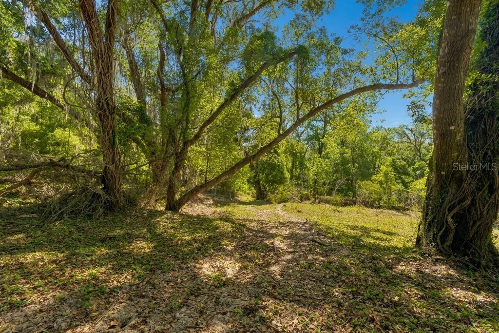 31501 Reed Road , Dade City, FL 33523 Photo
