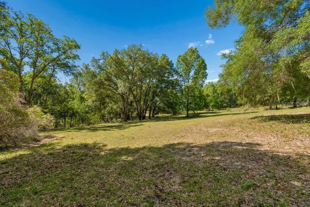 31501 Reed Road , Dade City, FL 33523 Photo