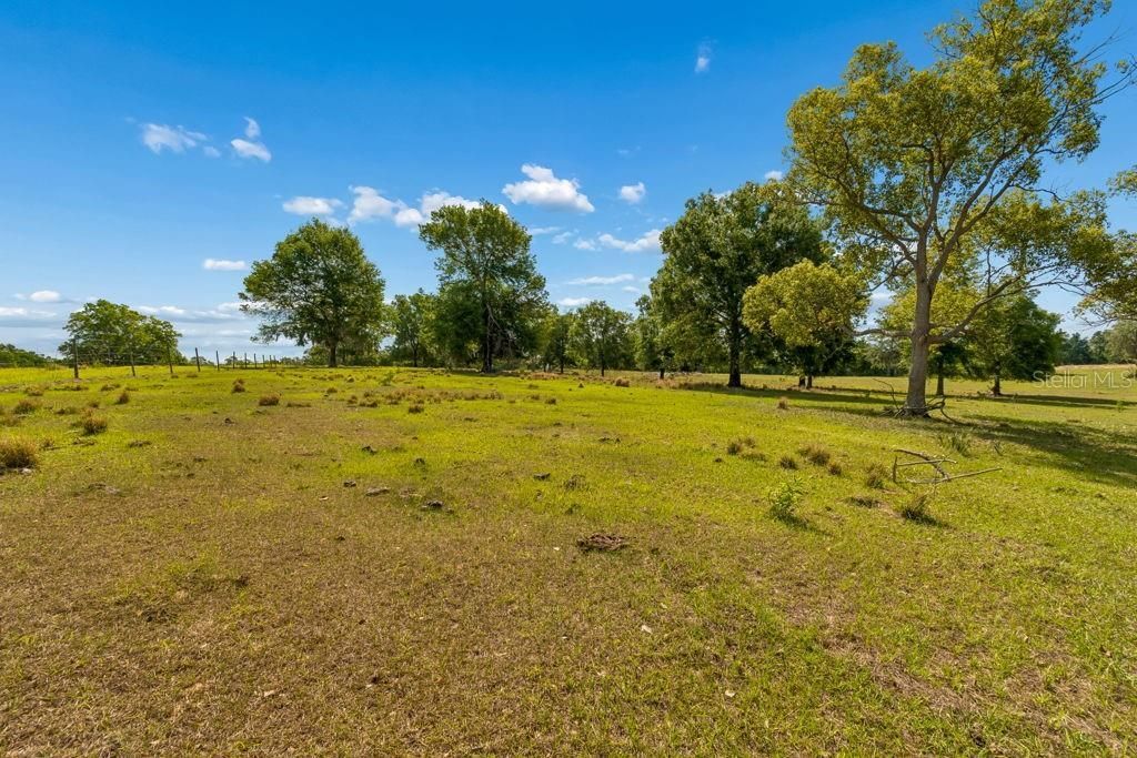 31501 Reed Road , Dade City, FL 33523 Photo