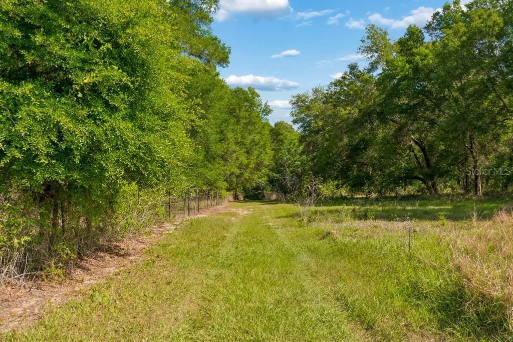 31501 Reed Road , Dade City, FL 33523 Photo