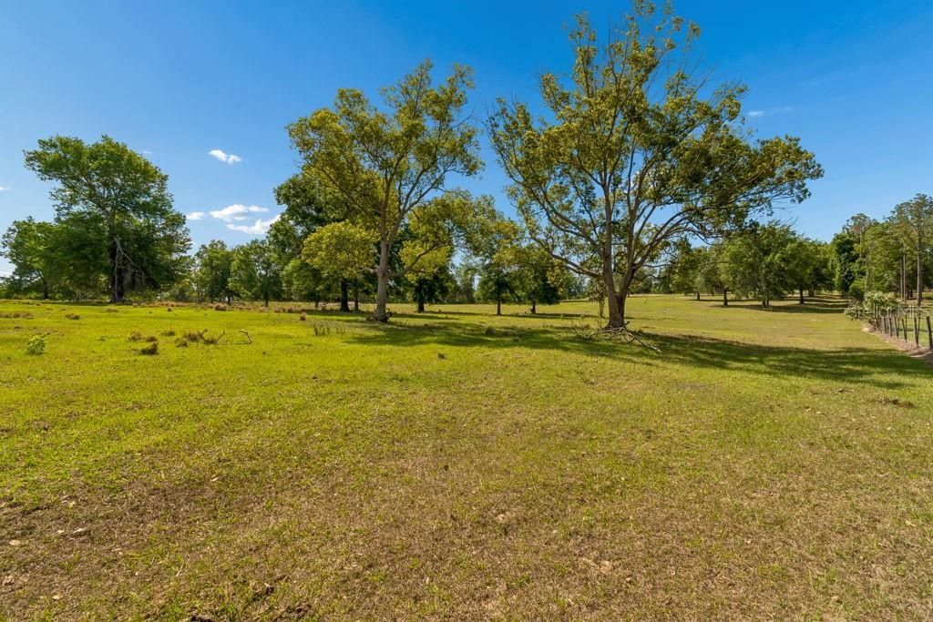 31501 Reed Road , Dade City, FL 33523 Photo