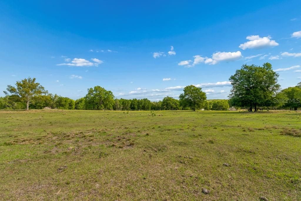 31501 Reed Road , Dade City, FL 33523 Photo