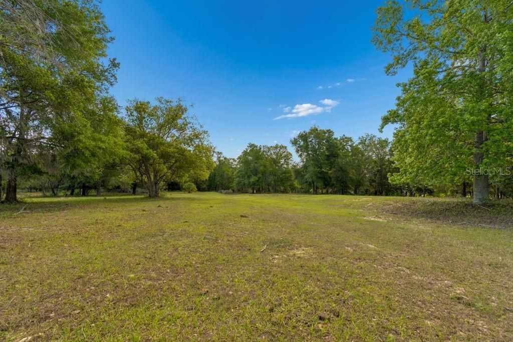31501 Reed Road , Dade City, FL 33523 Photo