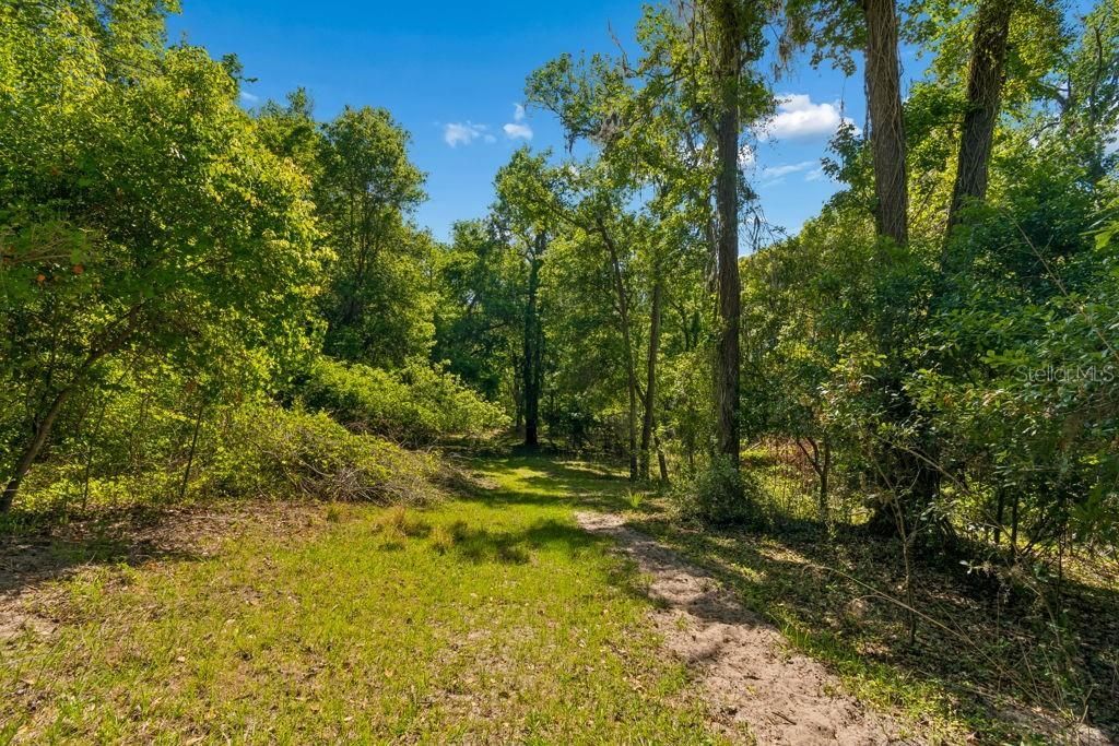 31501 Reed Road , Dade City, FL 33523 Photo