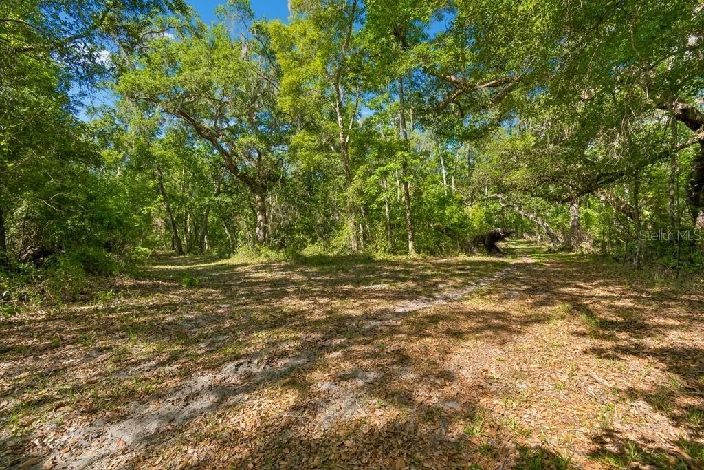 31501 Reed Road , Dade City, FL 33523 Photo