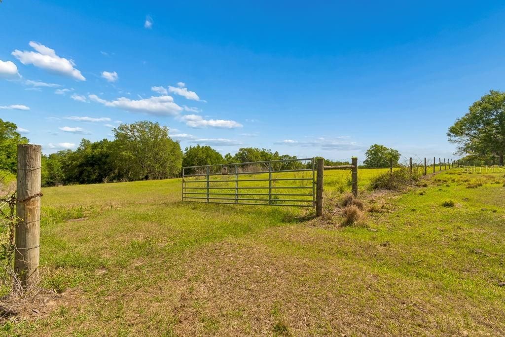 31501 Reed Road , Dade City, FL 33523 Photo