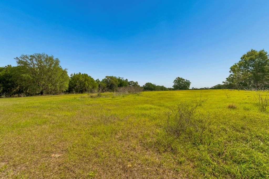 31501 Reed Road , Dade City, FL 33523 Photo
