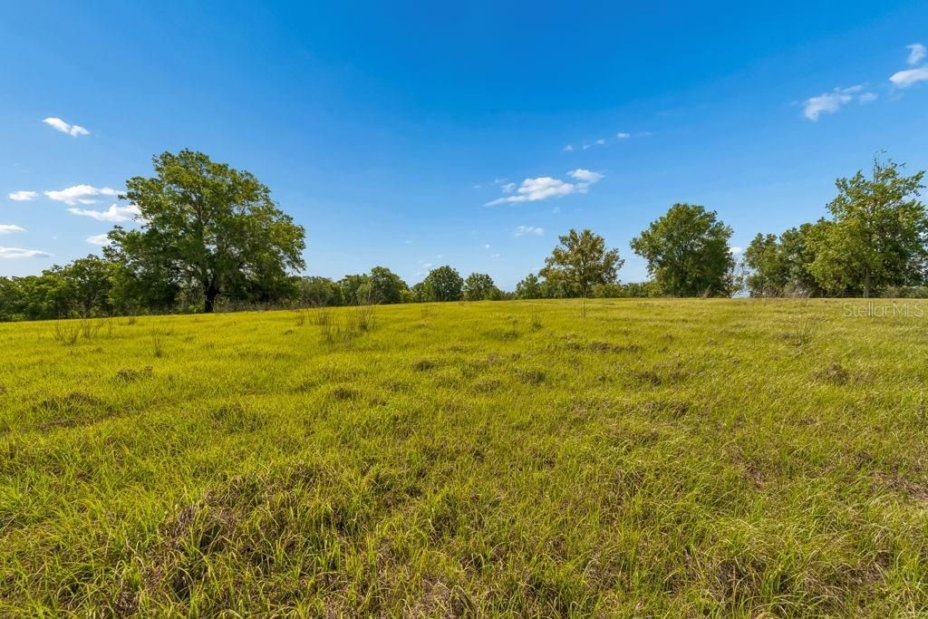 31501 Reed Road , Dade City, FL 33523 Photo