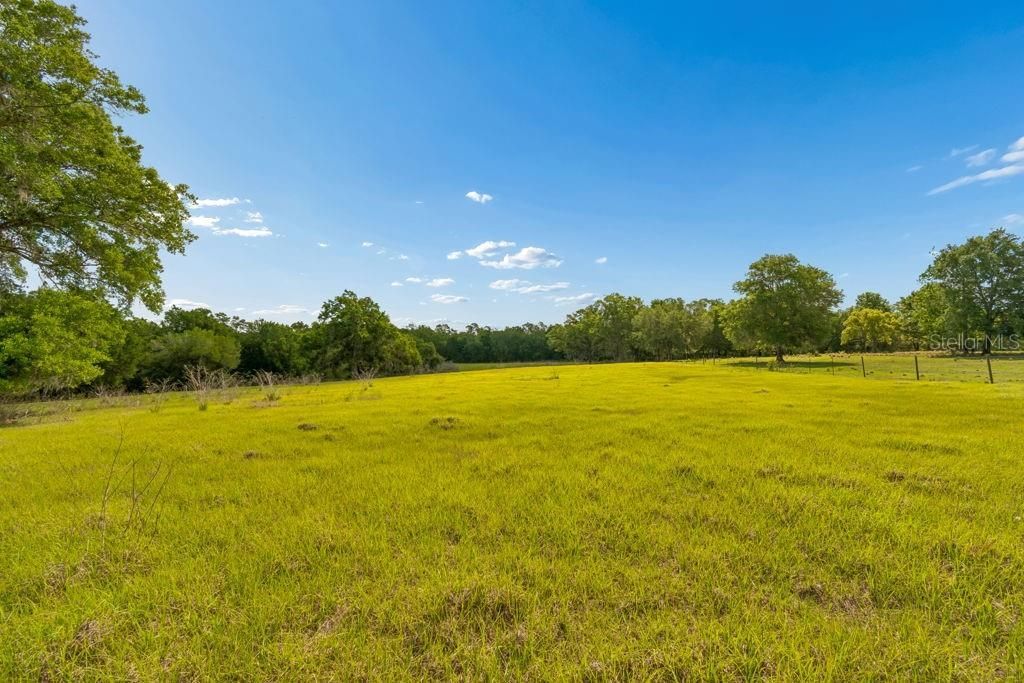 31501 Reed Road , Dade City, FL 33523 Photo