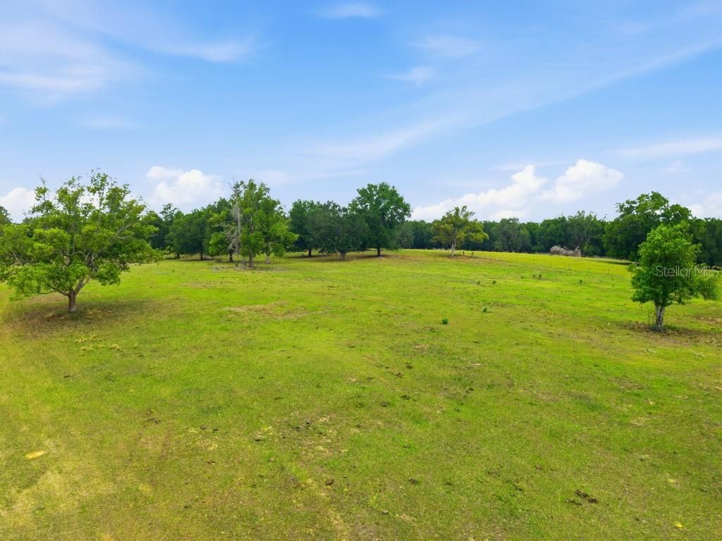 31501 Reed Road , Dade City, FL 33523 Photo