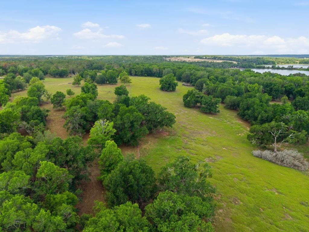31501 Reed Road , Dade City, FL 33523 Photo