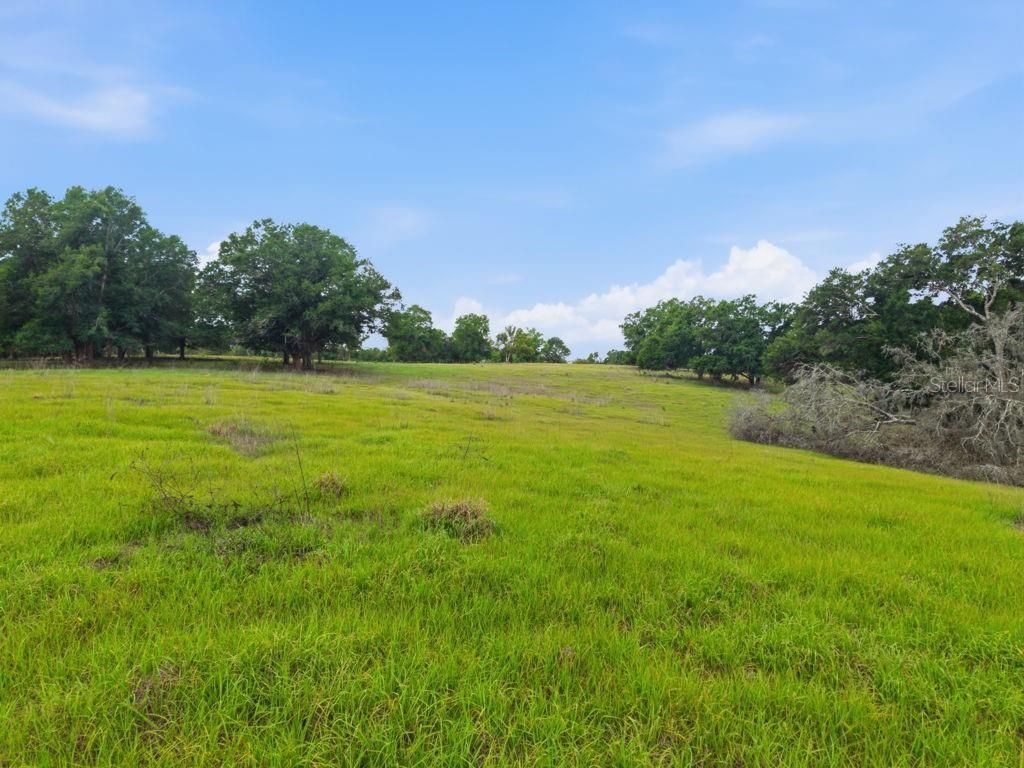 31501 Reed Road , Dade City, FL 33523 Photo