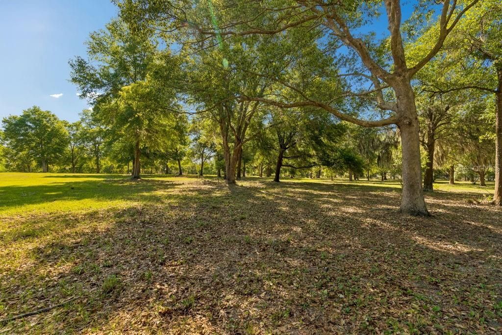31501 Reed Road , Dade City, FL 33523 Photo