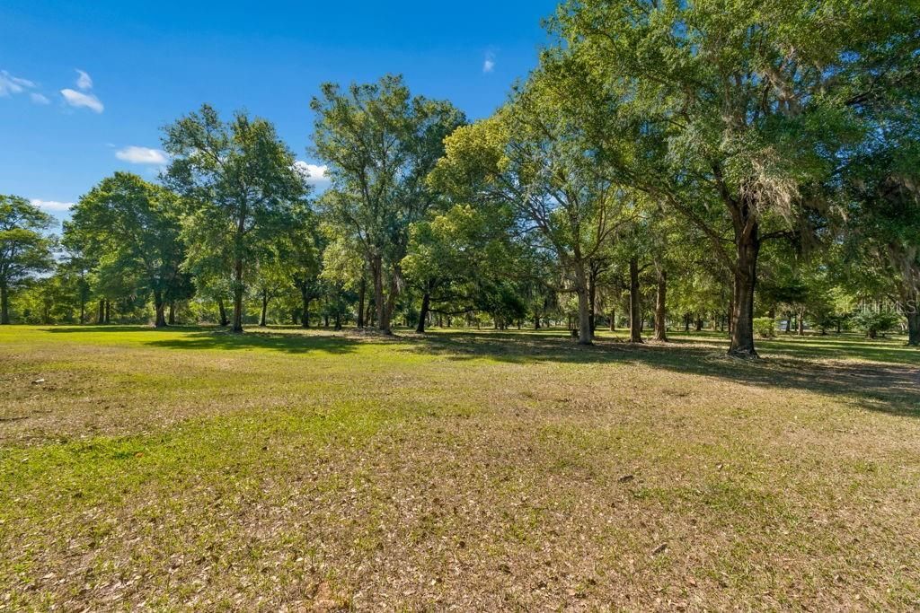 31501 Reed Road , Dade City, FL 33523 Photo