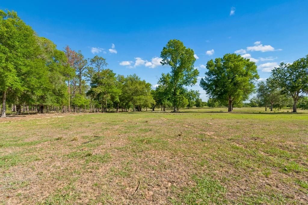 31501 Reed Road , Dade City, FL 33523 Photo