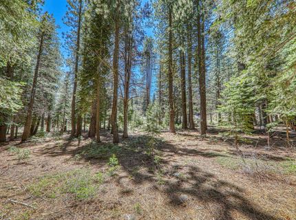 16859 Northwoods Boulevard, Truckee, CA 96161 Photo