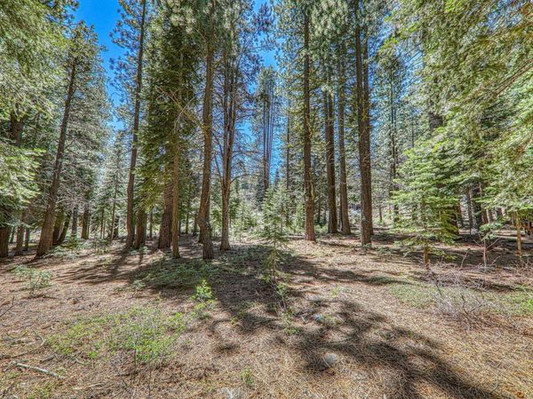 16859 Northwoods Boulevard, Truckee, CA 96161