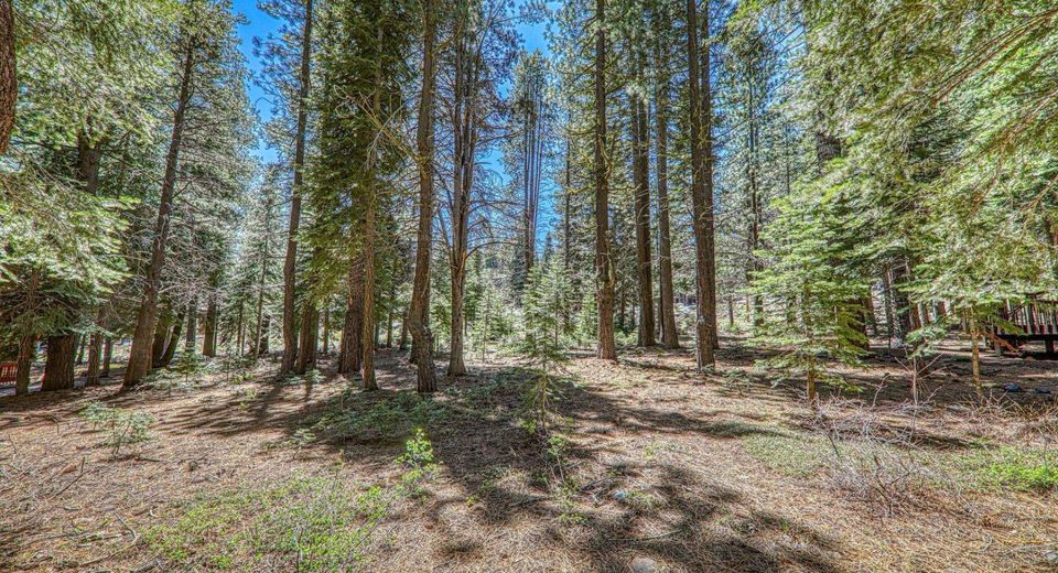 16859 Northwoods Boulevard, Truckee, CA 96161 Photo