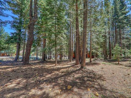 16859 Northwoods Boulevard, Truckee, CA 96161 Photo