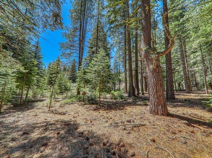 16859 Northwoods Boulevard, Truckee, CA 96161 Photo