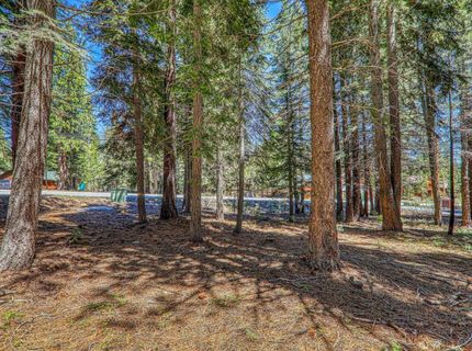 16859 Northwoods Boulevard, Truckee, CA 96161 Photo
