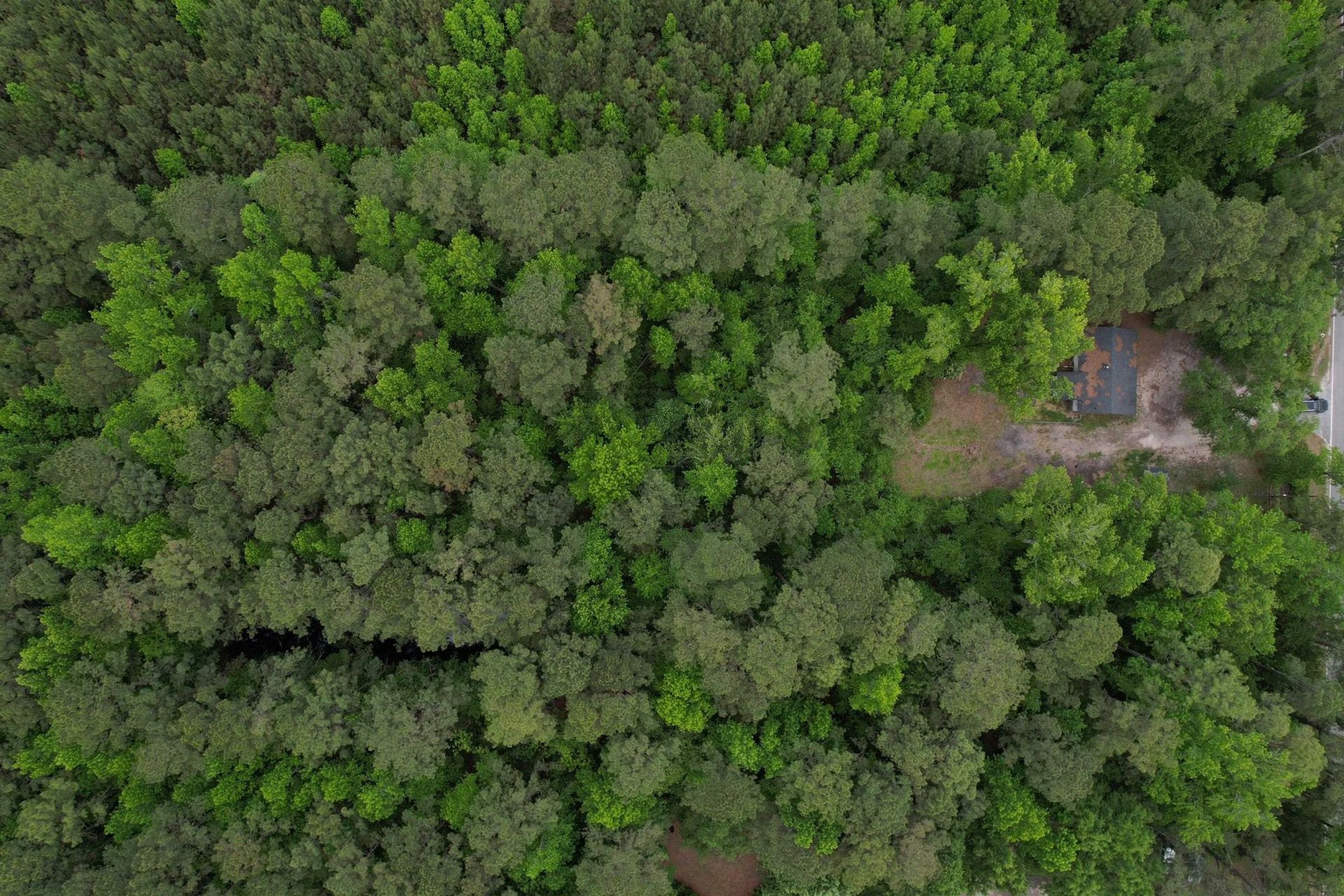1487 Tory Hill Rd.  Photo 11