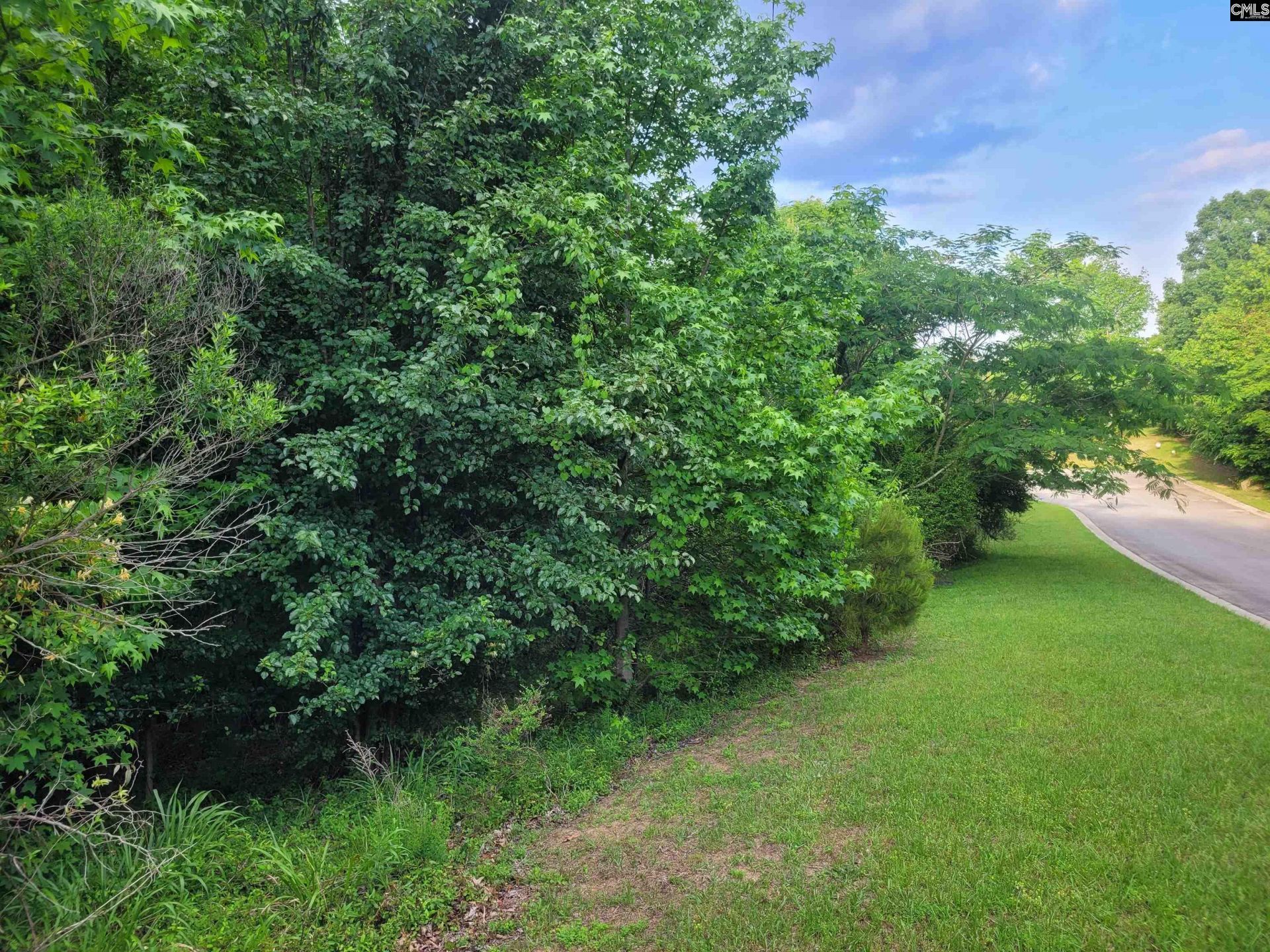 0 River Ridge Road Photo 10