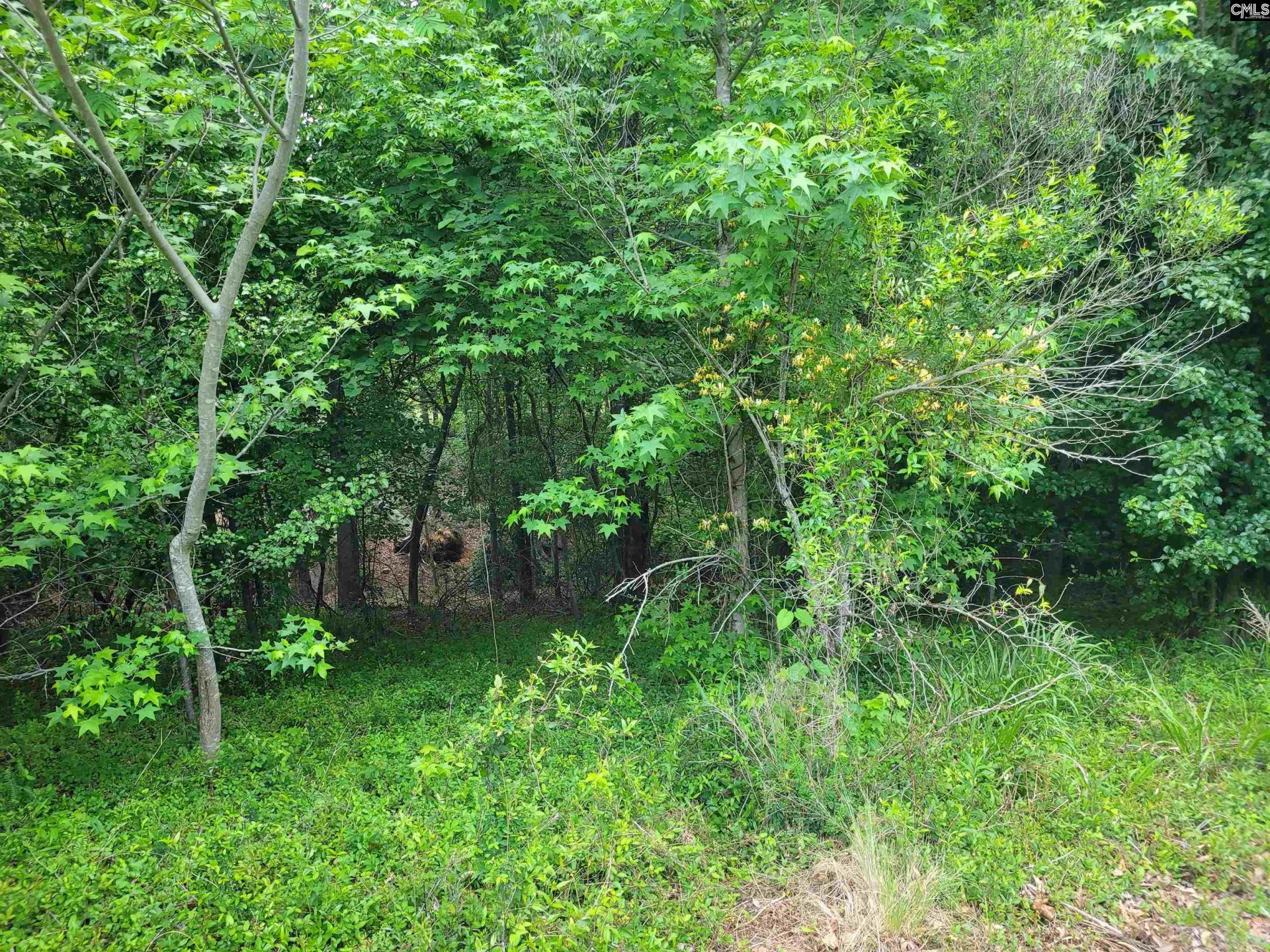 0 River Ridge Road Photo 11