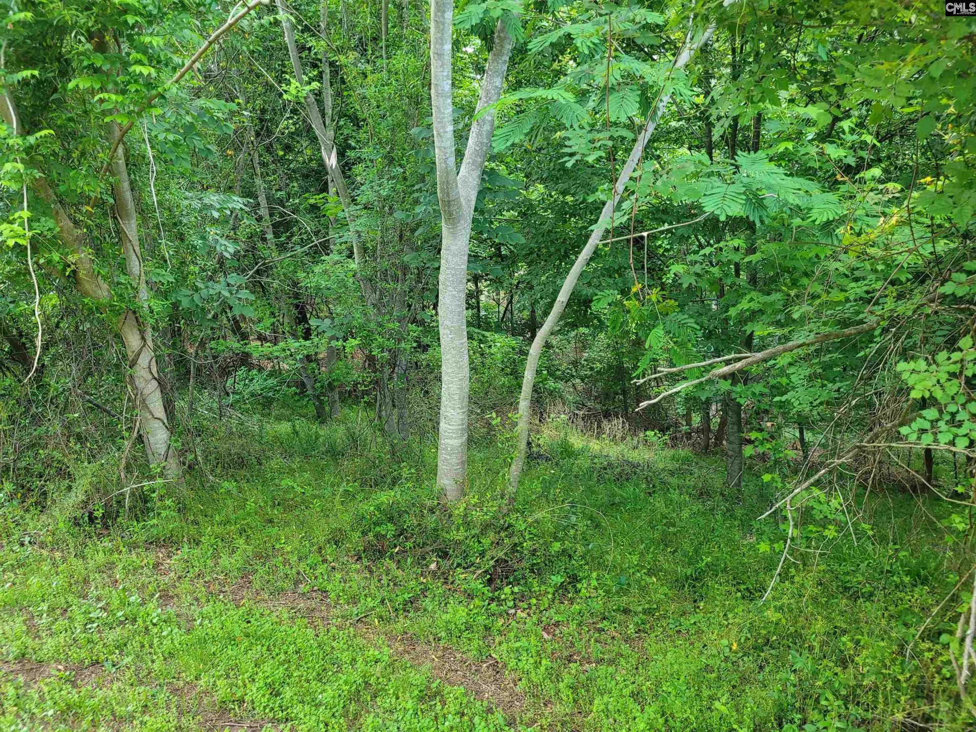0 River Ridge Road Photo 12