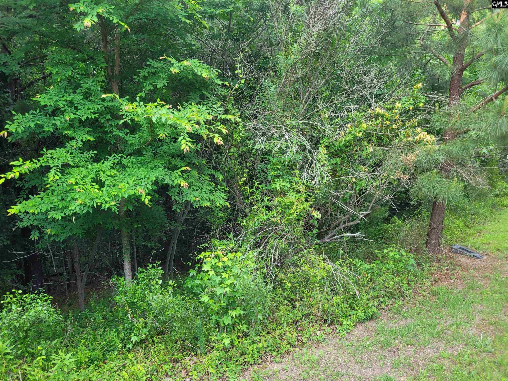 0 River Ridge Road Photo 13