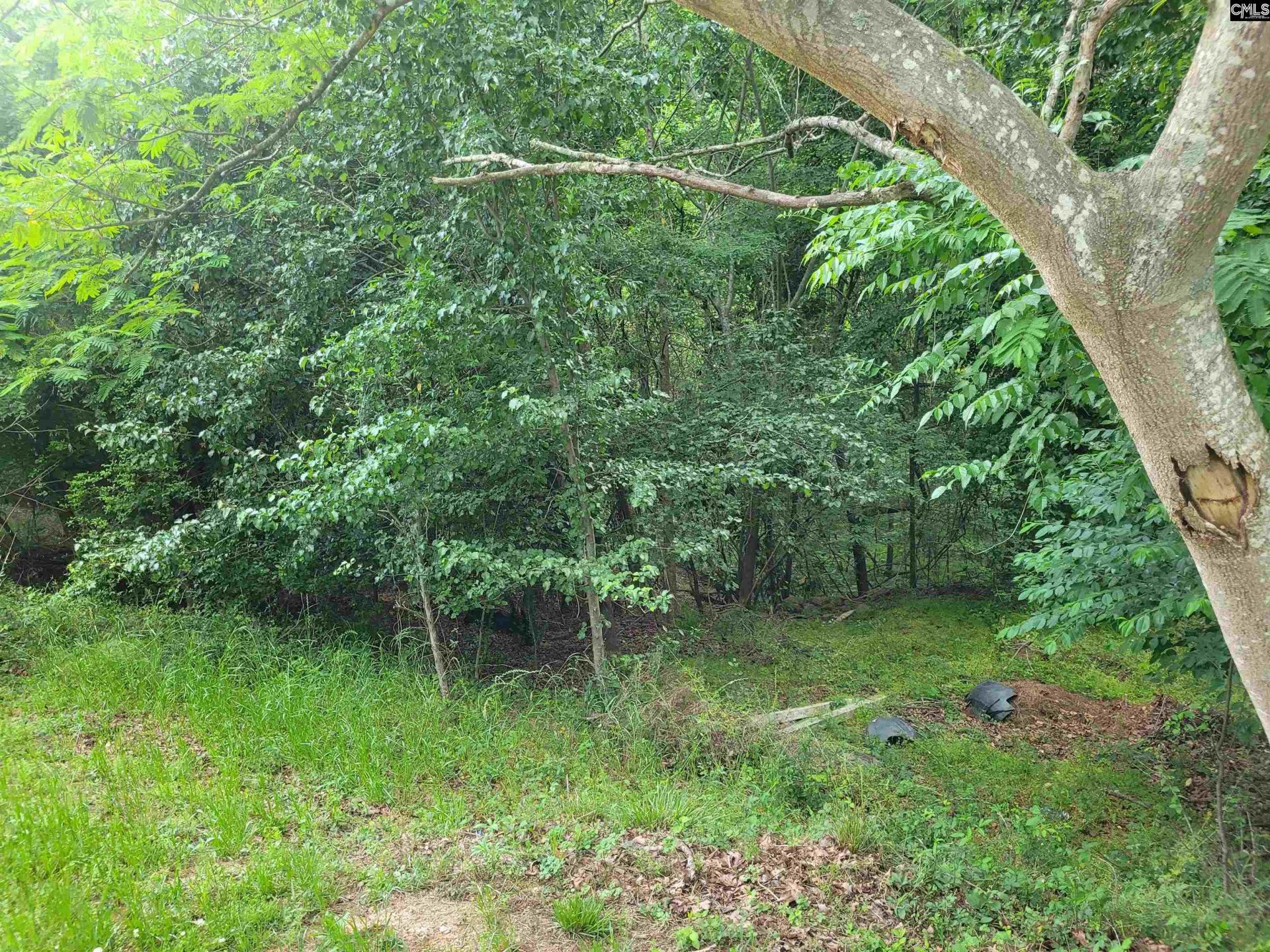0 River Ridge Road Photo 14