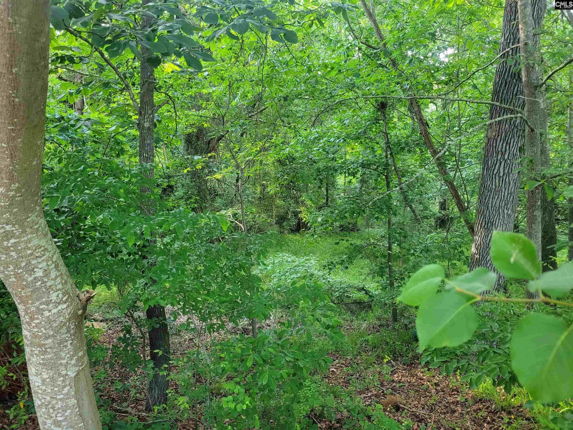 0 River Ridge Road Photo 16